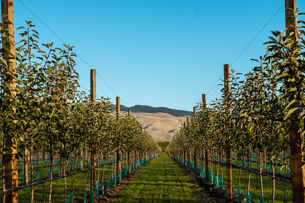 Rockit™ partnership attracts investors.