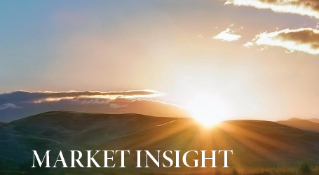 New Zealand's Electricity Market and Renewables