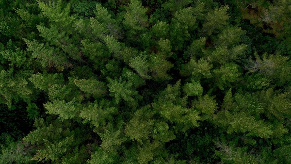 Hill country farms have new options